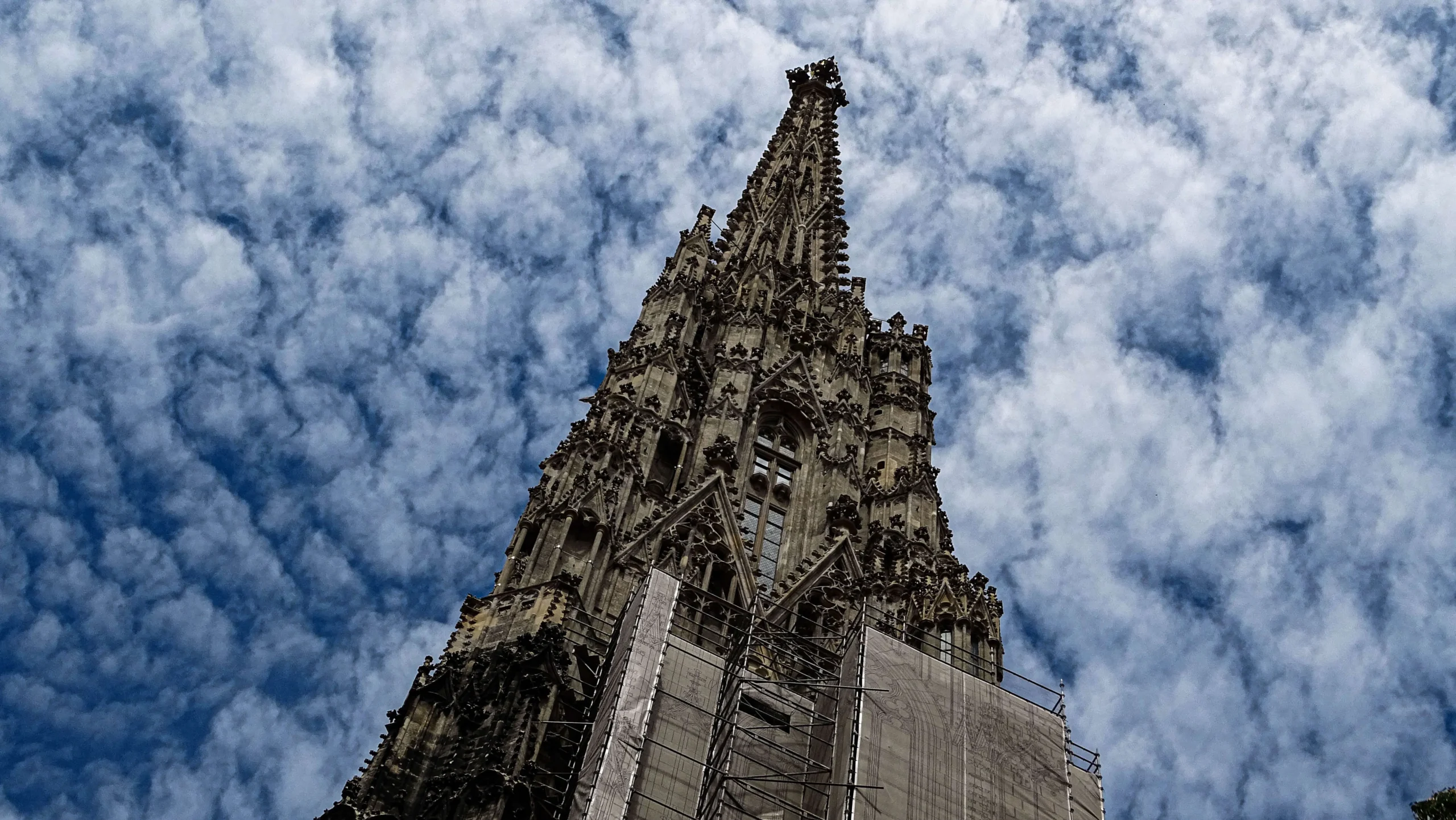 others – image (5).webp