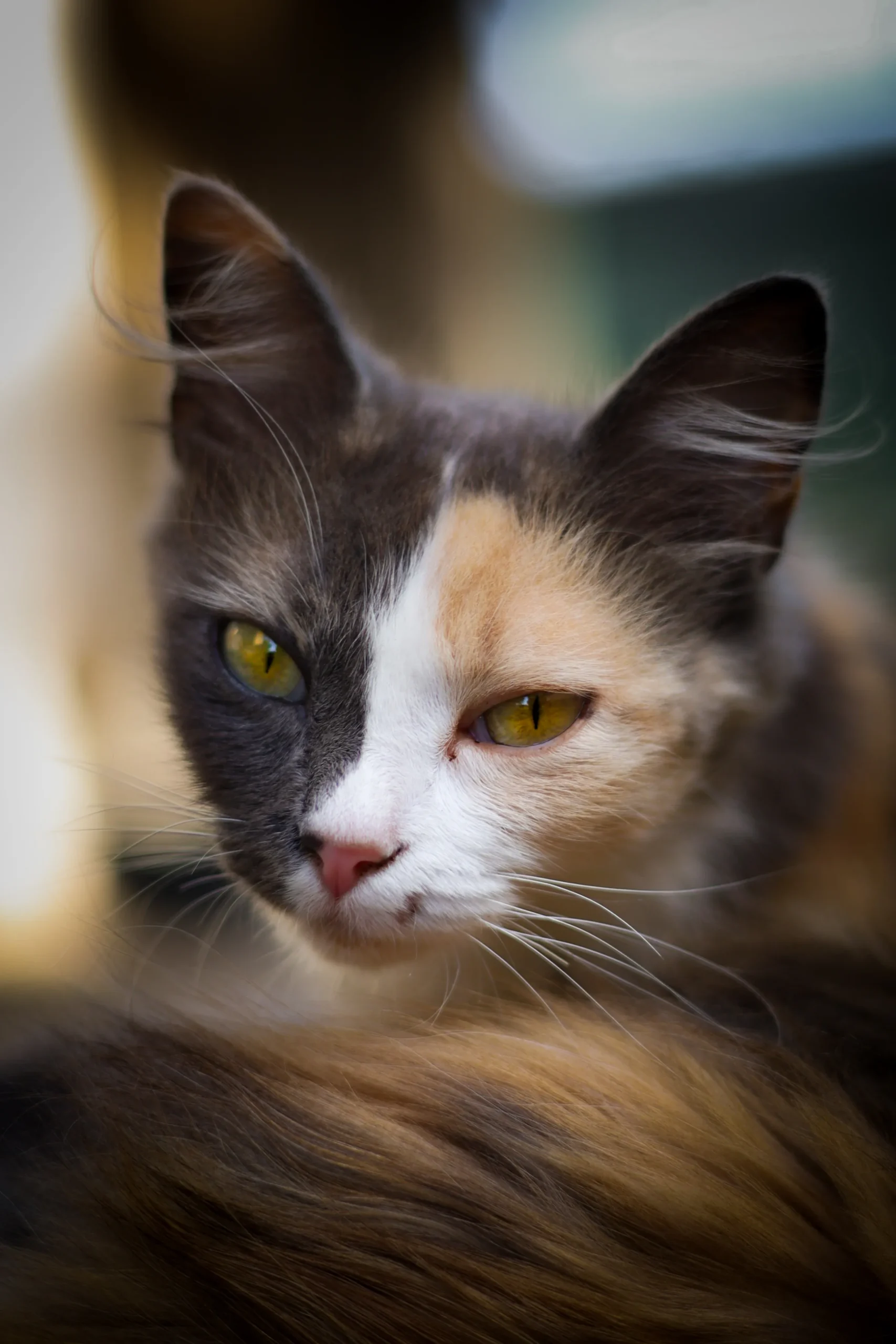 20230801160808_IMG_5569__1_