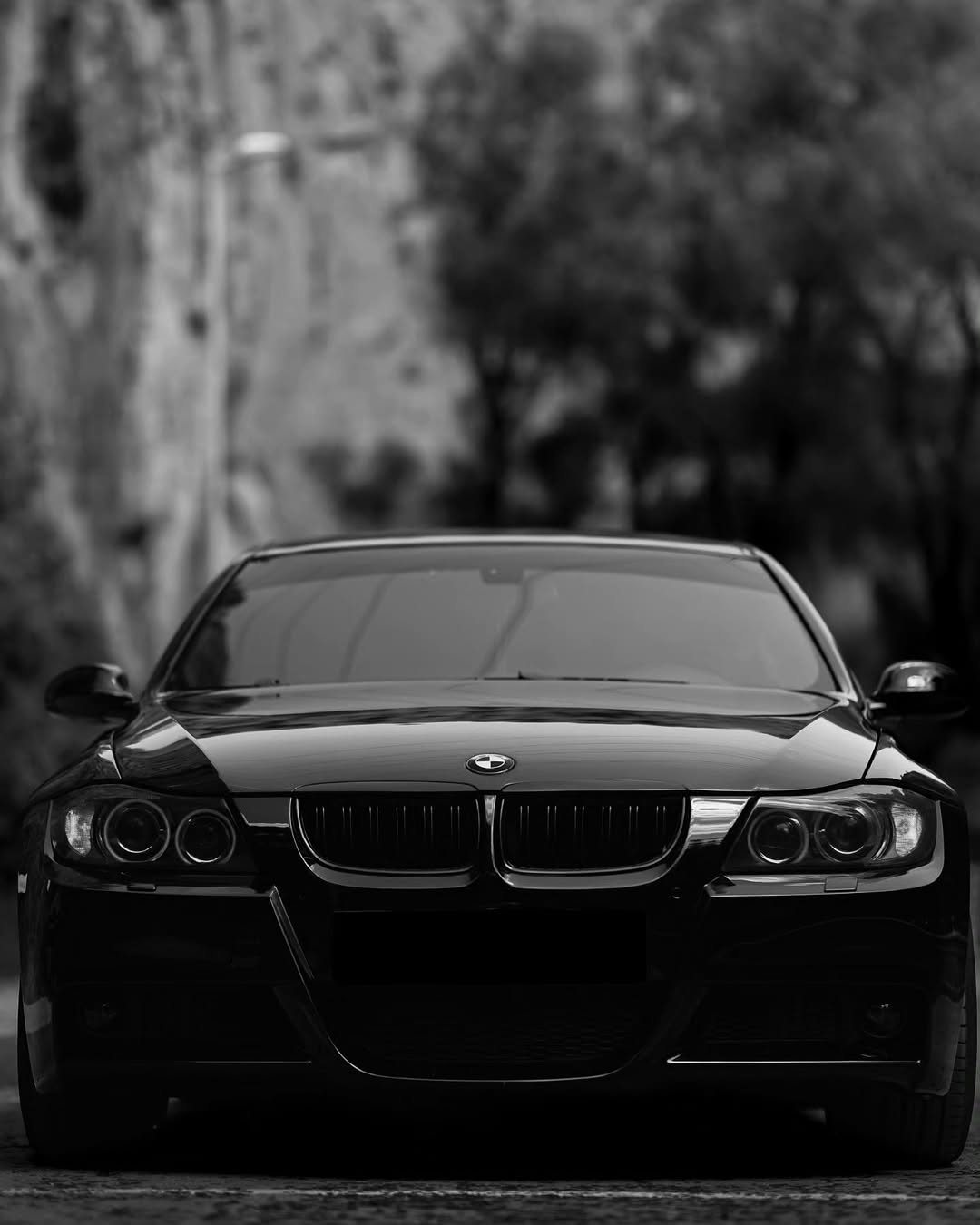 German engineering – elegance, torque, and agility in perfect sync with driving passion.