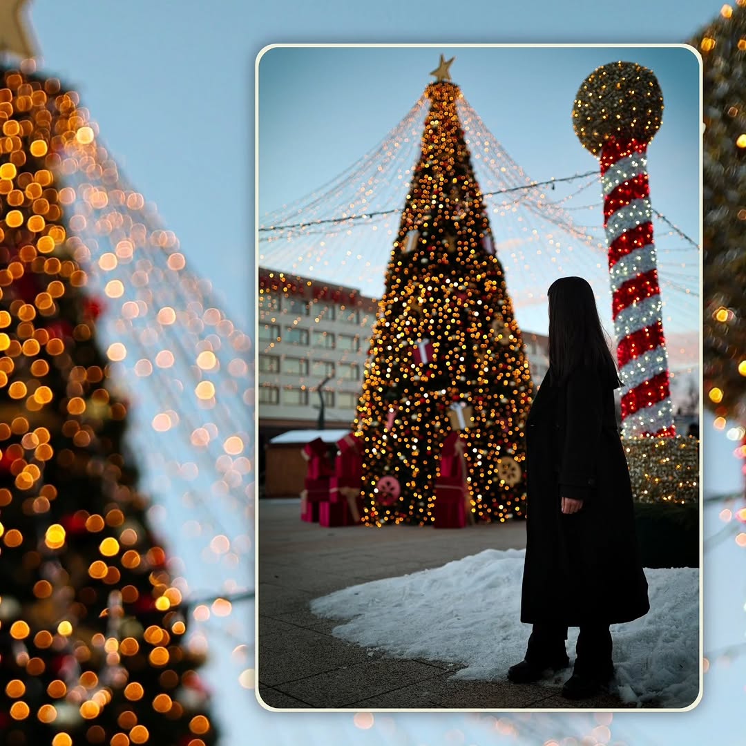 Gentle presence, wrapped in warm lights.